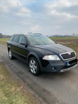 Skoda Octavia Scout 4x4 2.0 TDI Tüv neu, K... - Skoda Octavia aus 2007: Scout