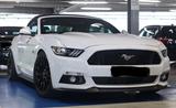 Ford Mustang 5.0 Ti-VCT V8 GT Auto GT - Ford Mustang Gebrauchtwagen in Dortmund