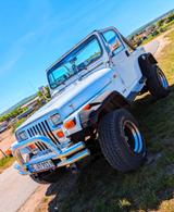 Jeep Wrangler 4.0 - - Jeep Wrangler in Braunschweig