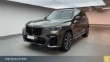 BMW X7 xDrive40i M-Sport,SkyLou,AHK,DAPro,Fond-Enter - BMW X7 mit Benzin-Antrieb: Grau