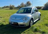 Volkswagen Beetle - gebrauchte VW Beetle aus dem Jahr 2008