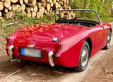 Austin Healey Sprite MKI Bj. 1960, LHD Cabrio  - aus 1960: Cabrio