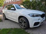 BMW X5 xDrive40d - M-Paket, Pano, AHK, HuD - BMW X5: 4.4