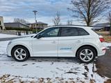 Audi SQ5 3.0 TFSI TIPRONIC QUATTRO AHK STANDHZ LUFT - weiße Audi SQ5