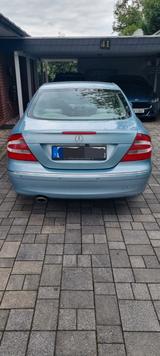 Mercedes-Benz CLK 240 ELEGANCE Elegance - Mercedes-Benz CLK 240 Gebrauchtwagen