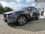 Mazda CX-30 Exclusive BOSE Matrix 360° Klimaaut Tempom - mit Benzin-Antrieb: Pickup