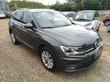Volkswagen VOLKSWAGEN - Tiguan - 2.0 TDI DSG 4MOTION Busine - Volkswagen Tiguan mit Diesel-Antrieb: Grau, Kombi