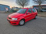 Volkswagen Polo 1.4 Trendline-104Tkm-TÜV NEU - Volkswagen Polo aus 2001: 4.1
