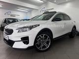 Kia XCeed 1.4 Platinum Edition*48TKM*Pano*LED*Leder* - Kia XCeed Gebrauchtwagen in Wuppertal