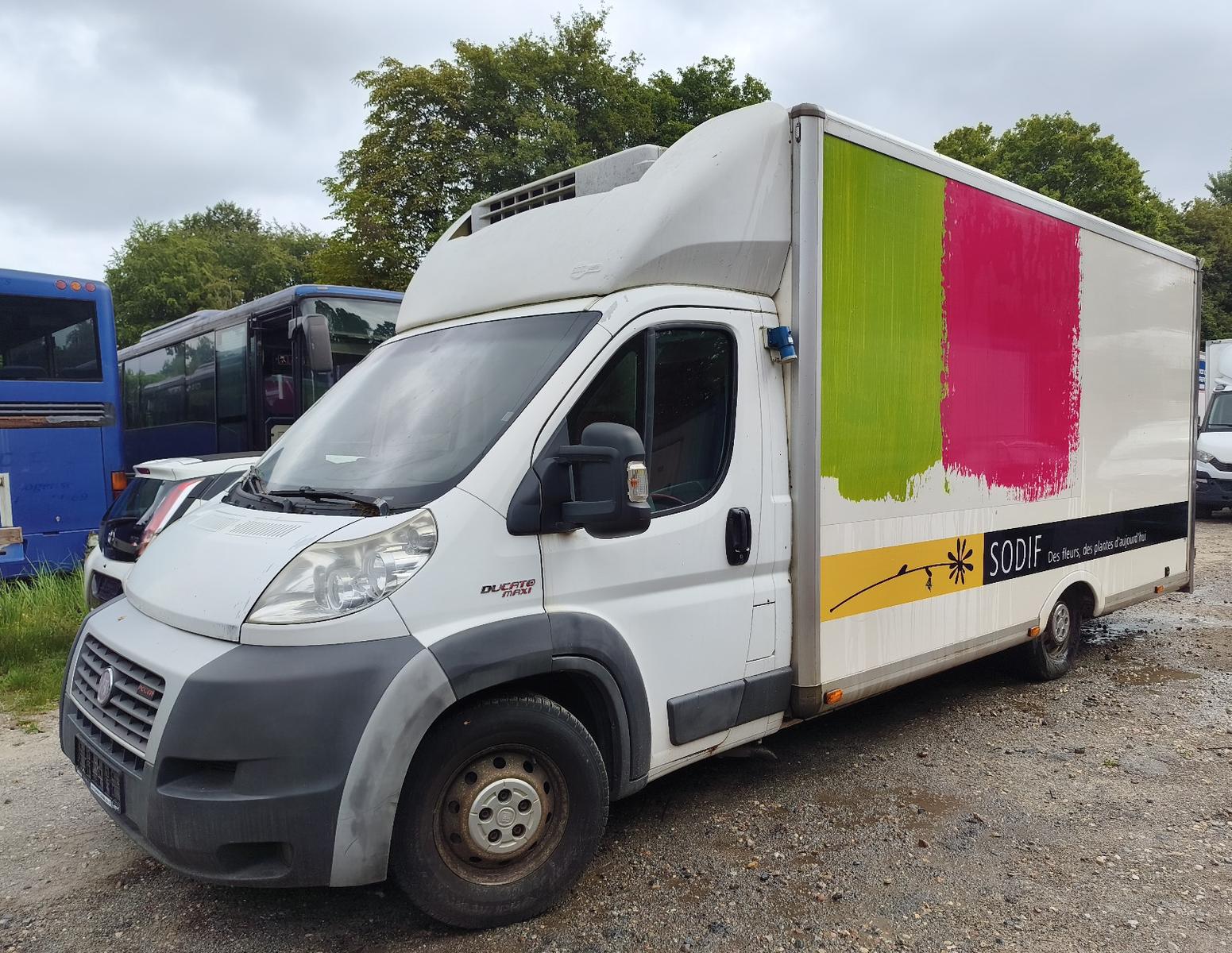 Fiat Ducato 3.0 D 177 PS*Kühlkoffer Thermo King