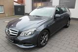 Mercedes-Benz E 300 BlueTec Hybrid AVANTGARDE (RÜCKFAHRKAMERA)
