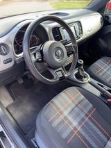 Volkswagen Beetle 2.0 TDI 81kW BMT CLUB Cabriolet CLUB - Volkswagen Beetle mit Diesel-Antrieb: Cabrio