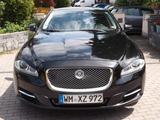 Jaguar XJ Premium Luxury 3.0 V6 Diesel S Premium Luxury - Jaguar XJ mit Diesel-Antrieb: 6.3