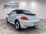Volkswagen Beetle Cabriolet Cup Xenon/Klimaaut./Sitzh. - Volkswagen Beetle CUP mit Benzin-Antrieb