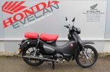 Honda C125 Super Cub *sofort verfügbar*