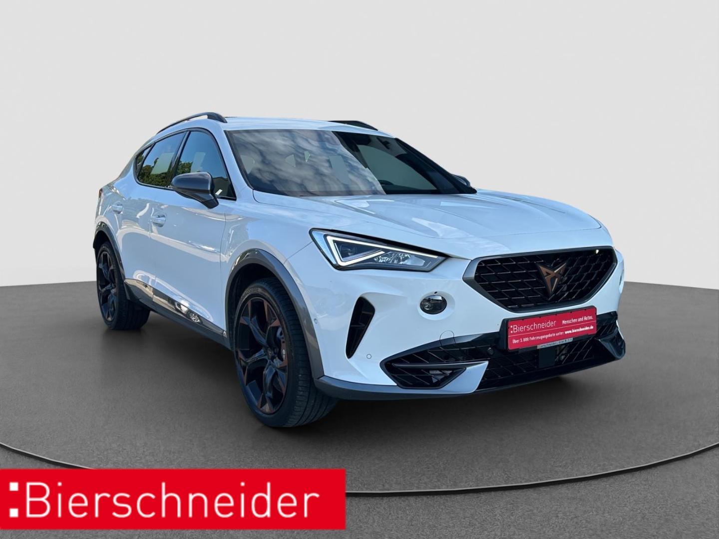 Cupra Formentor 2.0 TSI DSG 4Dr. VZ DCC BEATS MEMORY, миниатюра 4