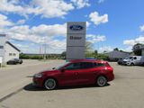 Ford Focus ST - AHK/ACC/TWA/Key Free/Headup - Ford Focus: Fr