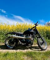 Triumph Scrambler - Angebote