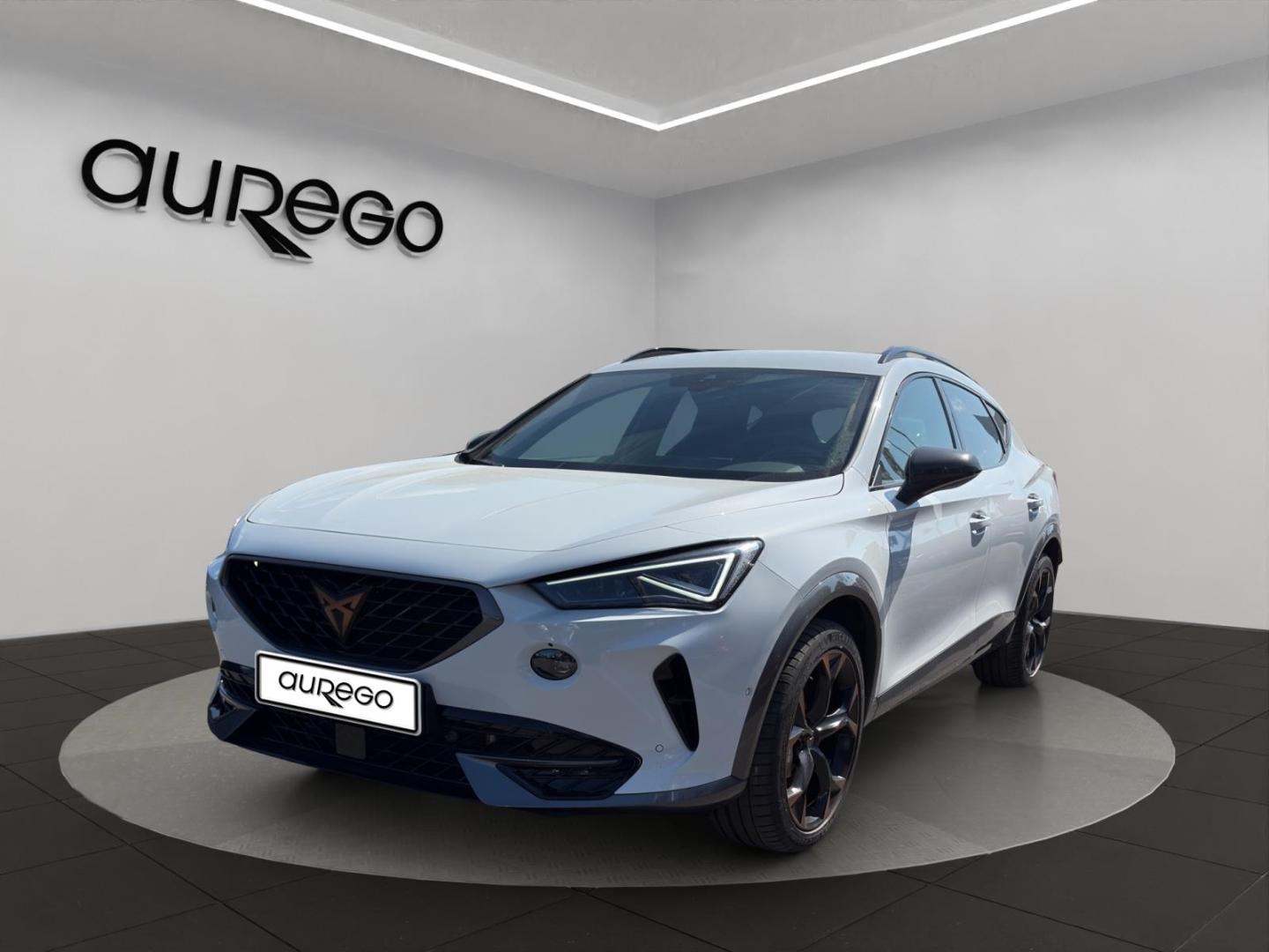 Cupra Formentor VZ 2.0 TSI 4Drive (310 PS)+AHK+E-KLAPP