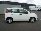 Fiat Pandina PANDA ICON HYBRID 1.0 GSE 65PS PDC RADIO - weiße Fiat New Panda