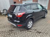 Ford Kuga 2,0 TDCi 4x4 110kW Trend PowerShift Trend - Ford Kuga: Trend 4x2