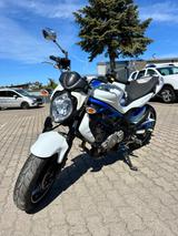 Suzuki Gladius 650 - Reifen, HU & AU, Inspektion neu - SUZUKI 650 R