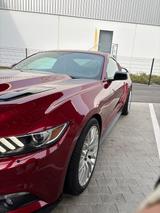 Ford Mustang 2.3 EcoBoost Auto  - Ford: 3.2