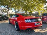 Ford Mustang 5.0 V8 GT Manual Sport/Premium Package - Ford Mustang in Nürnberg