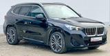 BMW X1 23xd M Sport,AHK,DA P,Kamera, ad.LED, el.Sitz - BMW X1: Leder