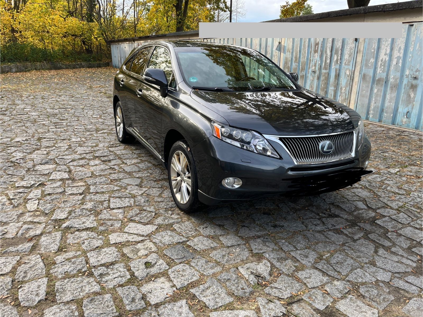 Lexus RX 450 h Ambience