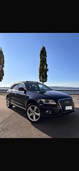 Audi Q5 3.0 TDI S-Line - Panorama - Sline - Tüv Neu  - Audi Q5 von privat