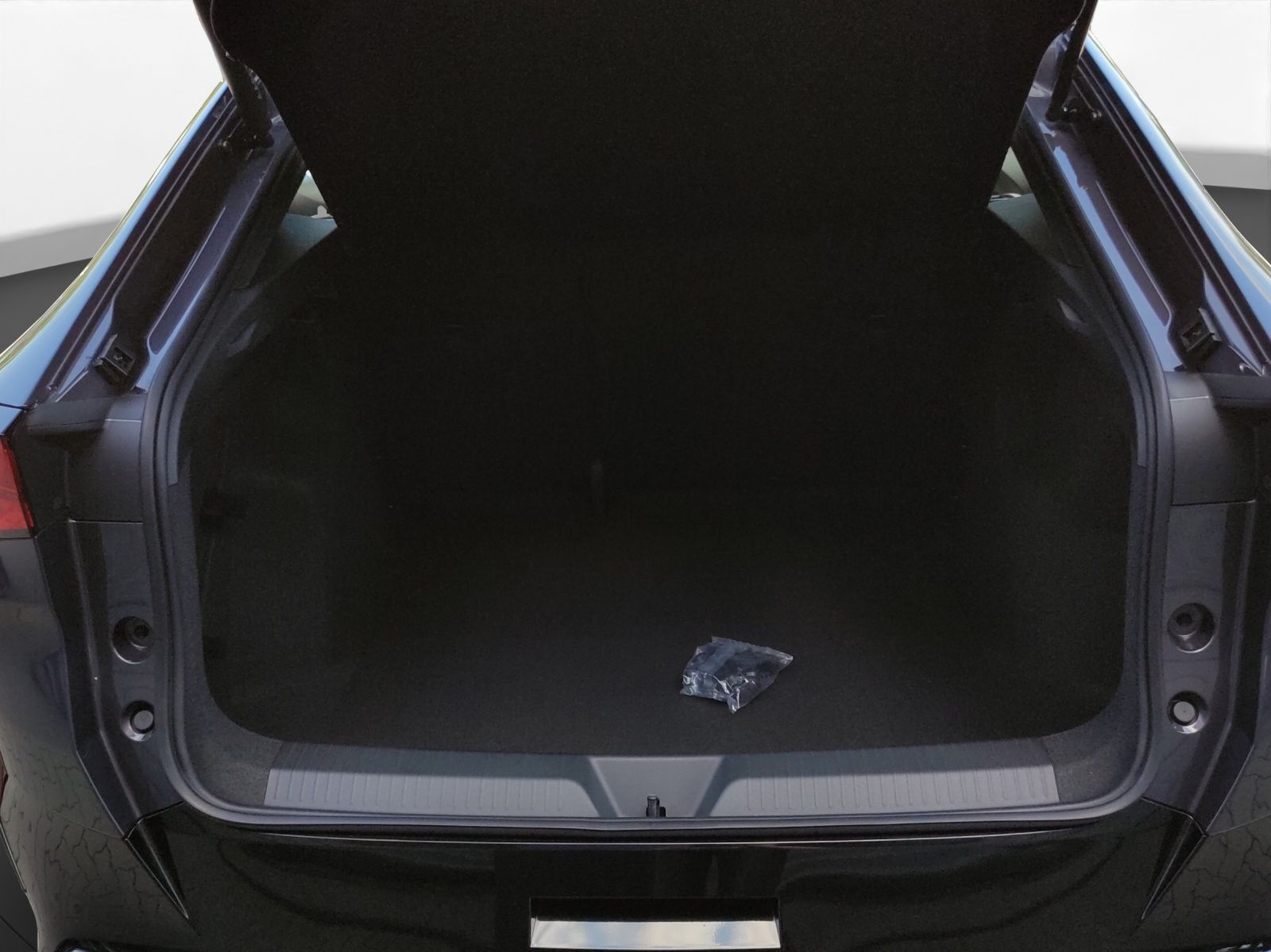 Cupra Tavascan - Bild 19