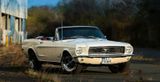 Ford Mustang Cabrio zum Coupe-Preis - Ford Mustang aus 1968