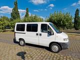 Peugeot Boxer - HU Neu, geringe Laufleistung - Peugeot aus 1998