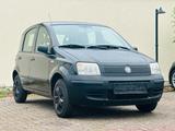 Fiat Panda 1.1 8V Active TÜV NEU Finanzierung - Fiat Panda Gebrauchtwagen in Karlsruhe