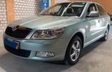 Skoda Octavia Lim. Elegance-DACH-LEDER-XENON-KLIMA - Skoda Octavia: Grün