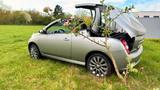Nissan Micra  CABRIOLET  - Nissan Micra mit Benzin-Antrieb: Cabrio
