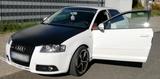 Audi S3  8P  2,0 TDI  170 PS - Audi S3 8P mit Diesel-Antrieb