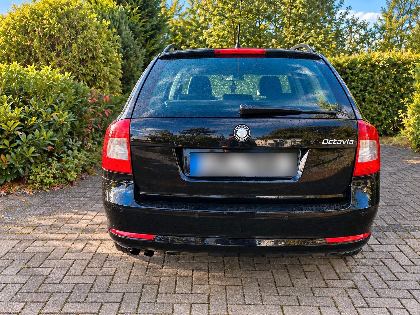 Skoda Octavia 2010 — rear view