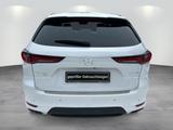 Mazda CX-60 "HOMURA" 2.5l "CON-P" "DRI-P" "COM-P" "PAN - Mazda Gebrauchtwagen