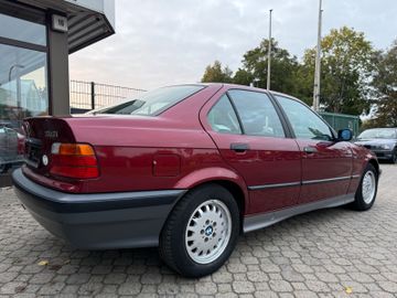 BMW 316 - 7
