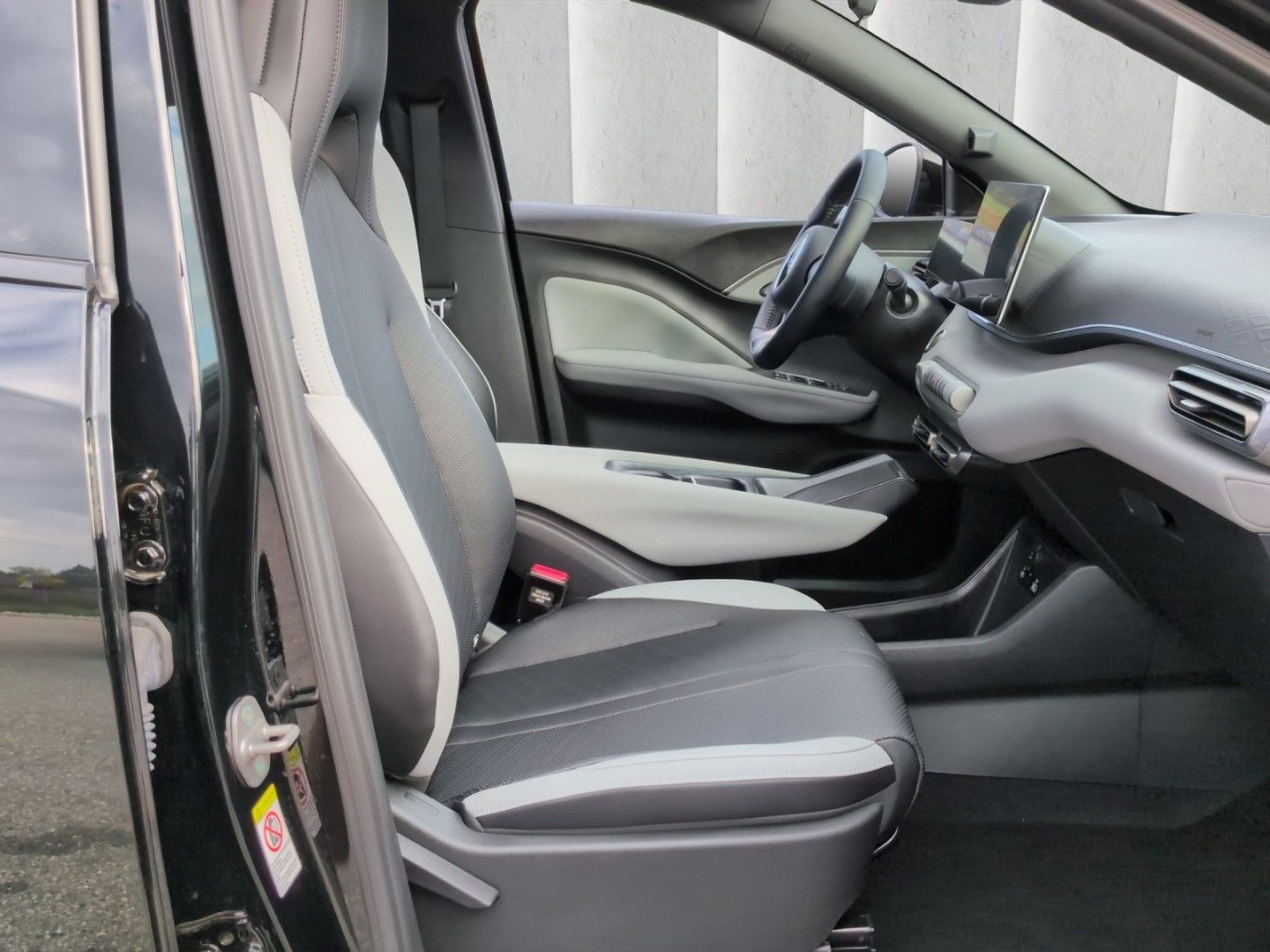 BYD DOLPHIN SURF