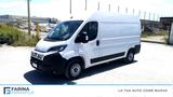 Fiat FIAT Ducato Serie 2 My25.5 FurgoneLastrato L2h2  - Fiat Ducato Jahreswagen