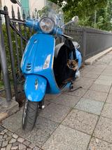 Vespa Primavera 50 Anniversary Sondermodell - VESPA PRIMAVERA 50 S