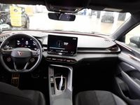 Cupra Terramar - Vorschau Bild 10