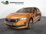 Skoda Octavia Combi 1.5 TSI Selection AHK ACC HUD LED - Skoda Octavia Neuwagen in Berlin
