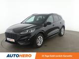 Ford Kuga 2.0 TDCi EcoBlue ST-Line X Aut.*NAVI*LED* - Ford Kuga aus 2023