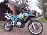 Suzuki DR 800 BIG Tüv  neu (seltenes Grün) - SUZUKI DR BIG