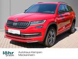 Skoda Kodiaq 2.0 TDI 4x4 DSG Sportline 19" Pano Navi L - Skoda Kodiaq Gebrauchtwagen in Bonn