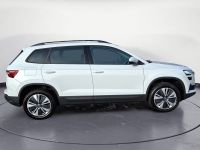 Skoda Karoq - Vorschau Bild 6